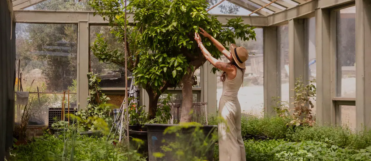 The vegetable garden and greenhouse at Manici Çiftlik