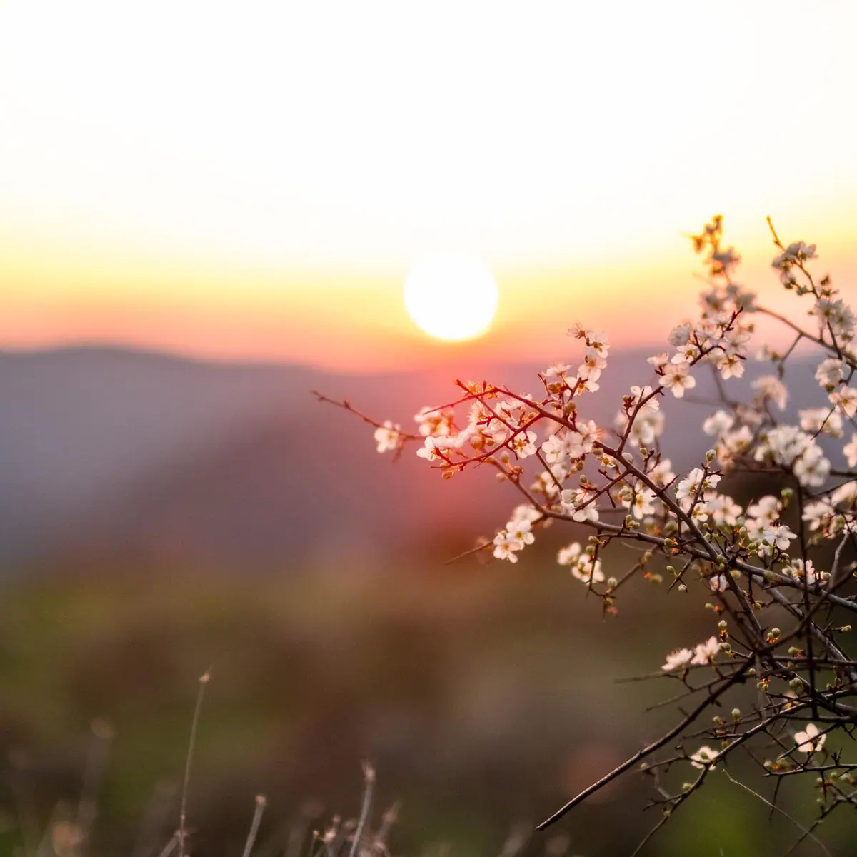 Manici Çiftlik: respect for nature