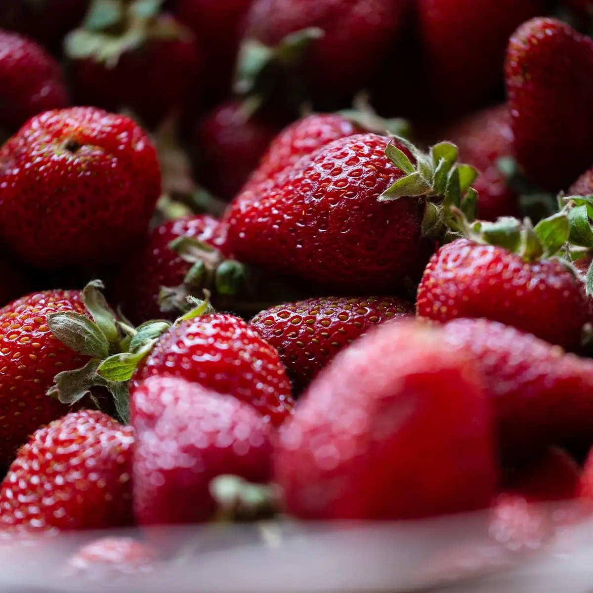 Manici Çiftlik: chemical-free farming