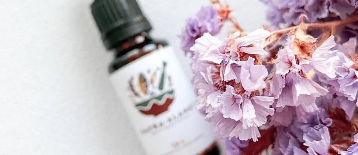 Medicinal Herbs Workshop