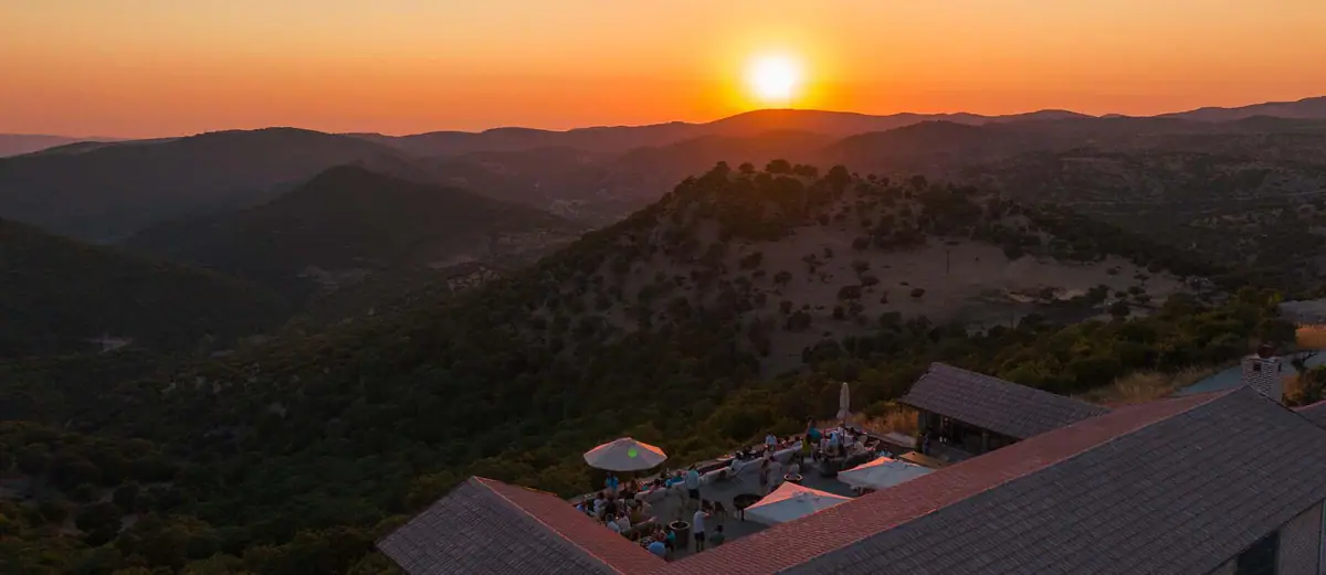 Sunset Party