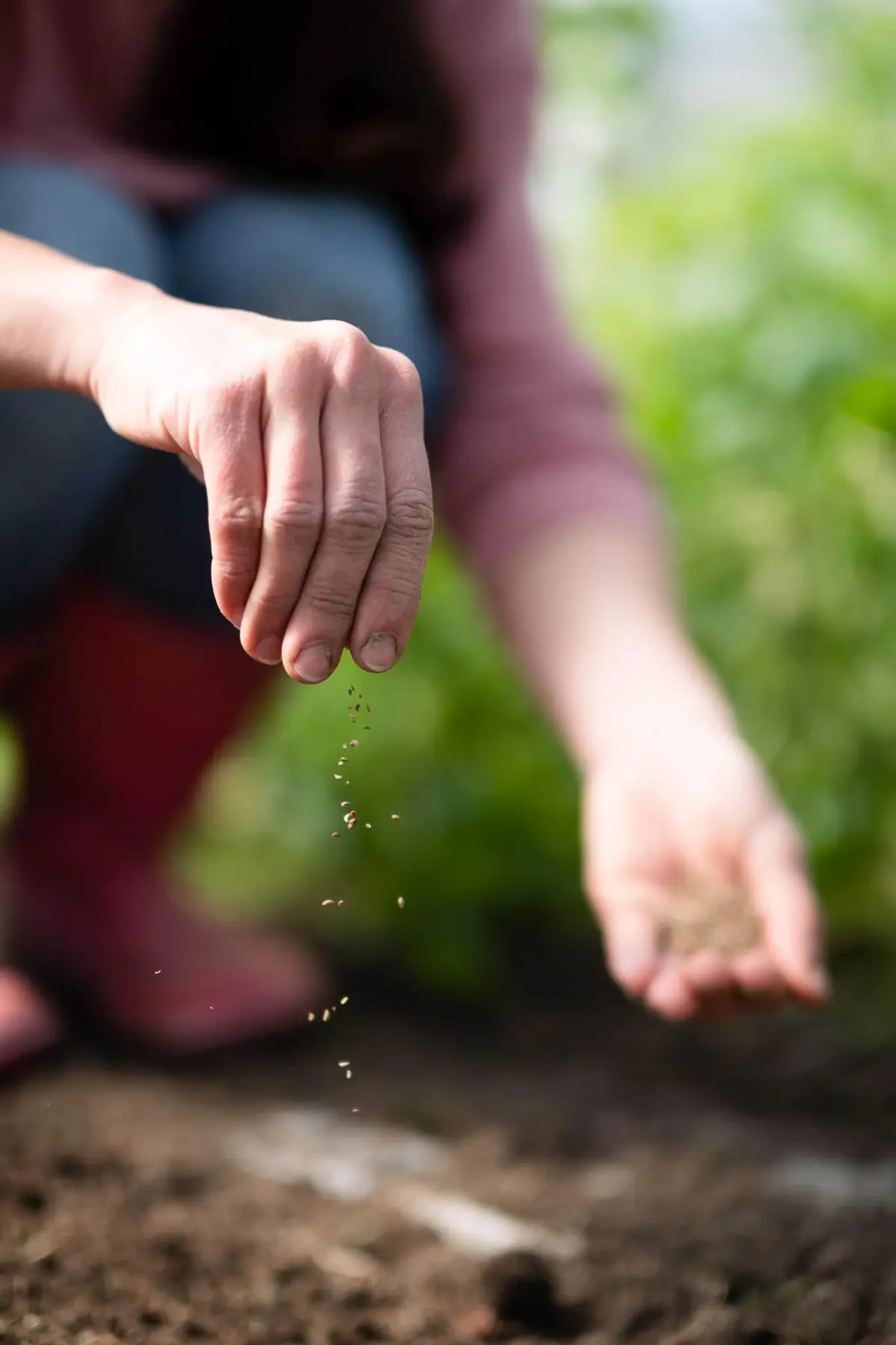 Farm life — Manici Çiftlik 10