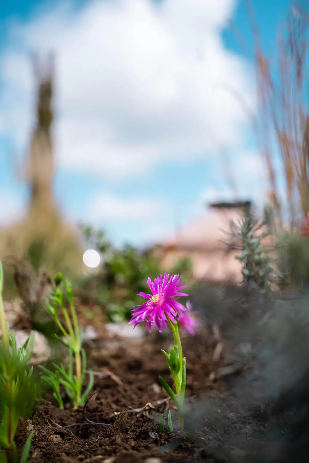 Farm life — Manici Çiftlik 13