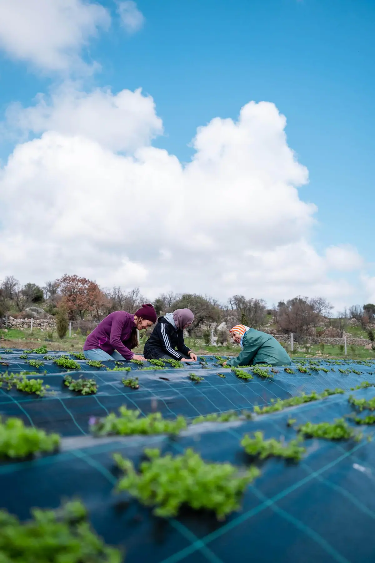 Farm life — Manici Çiftlik 14