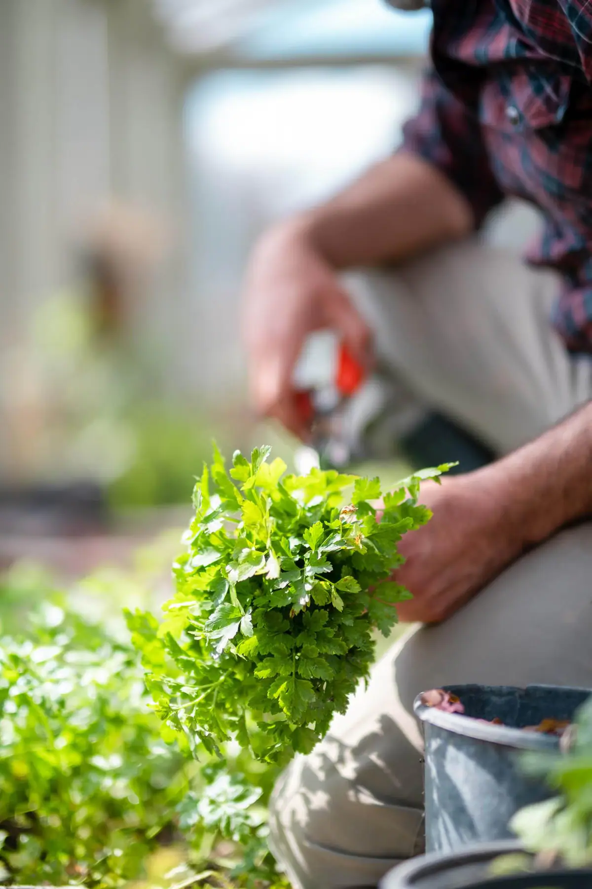 Farm life — Manici Çiftlik 18