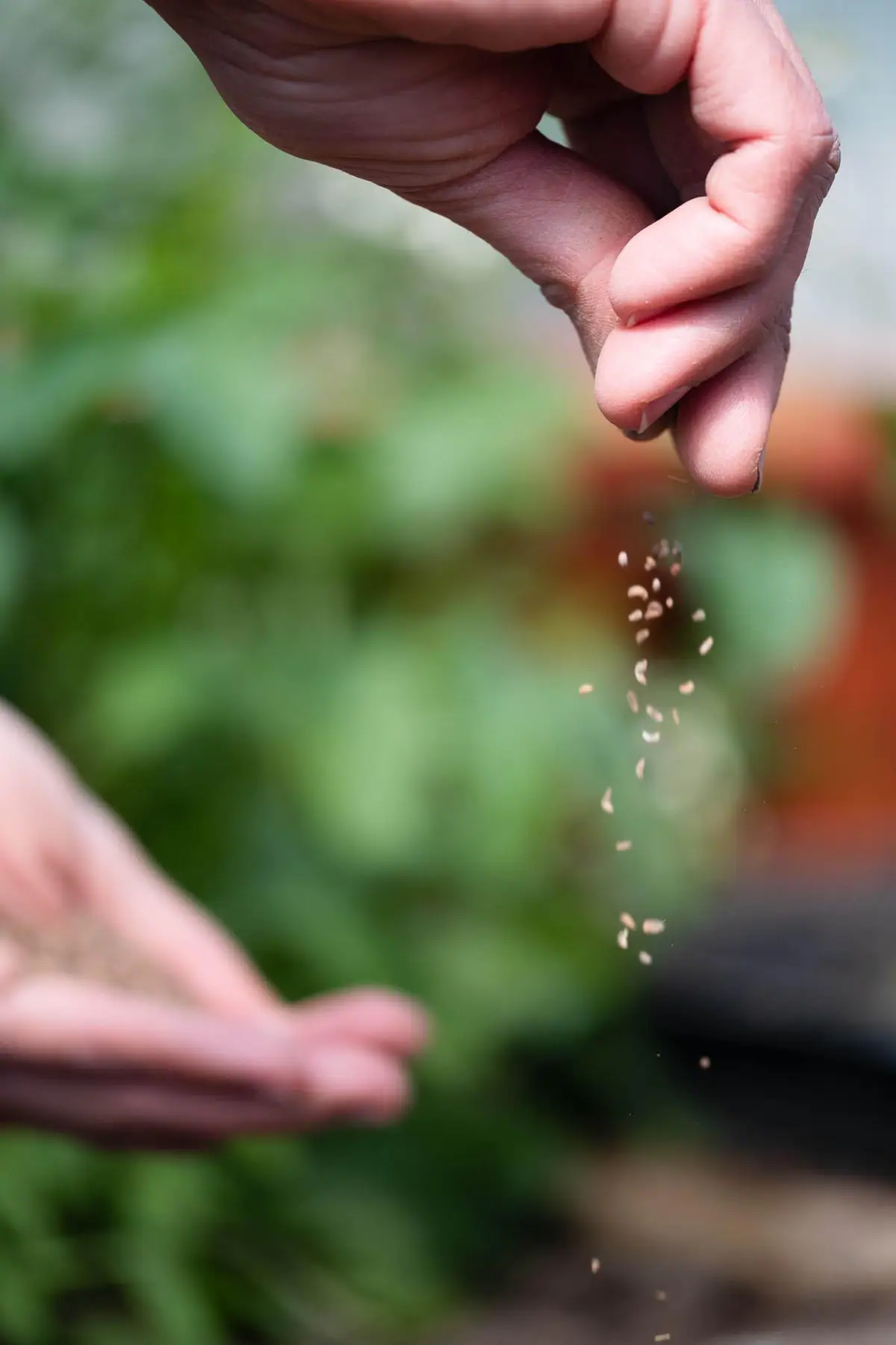 Farm life — Manici Çiftlik 7