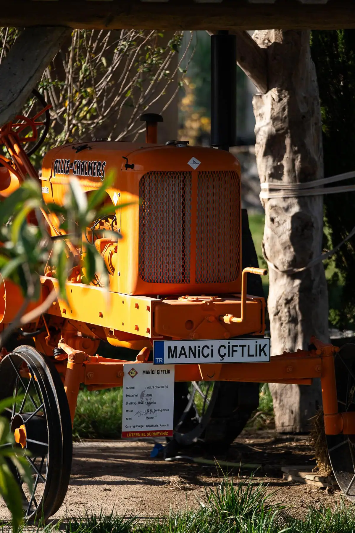 Nature — Manici Çiftlik 9