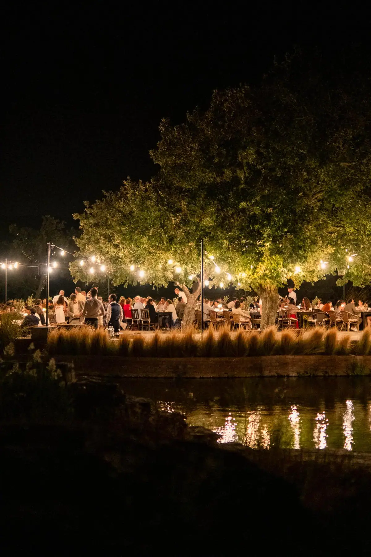 Weddings — Manici Çiftlik 15