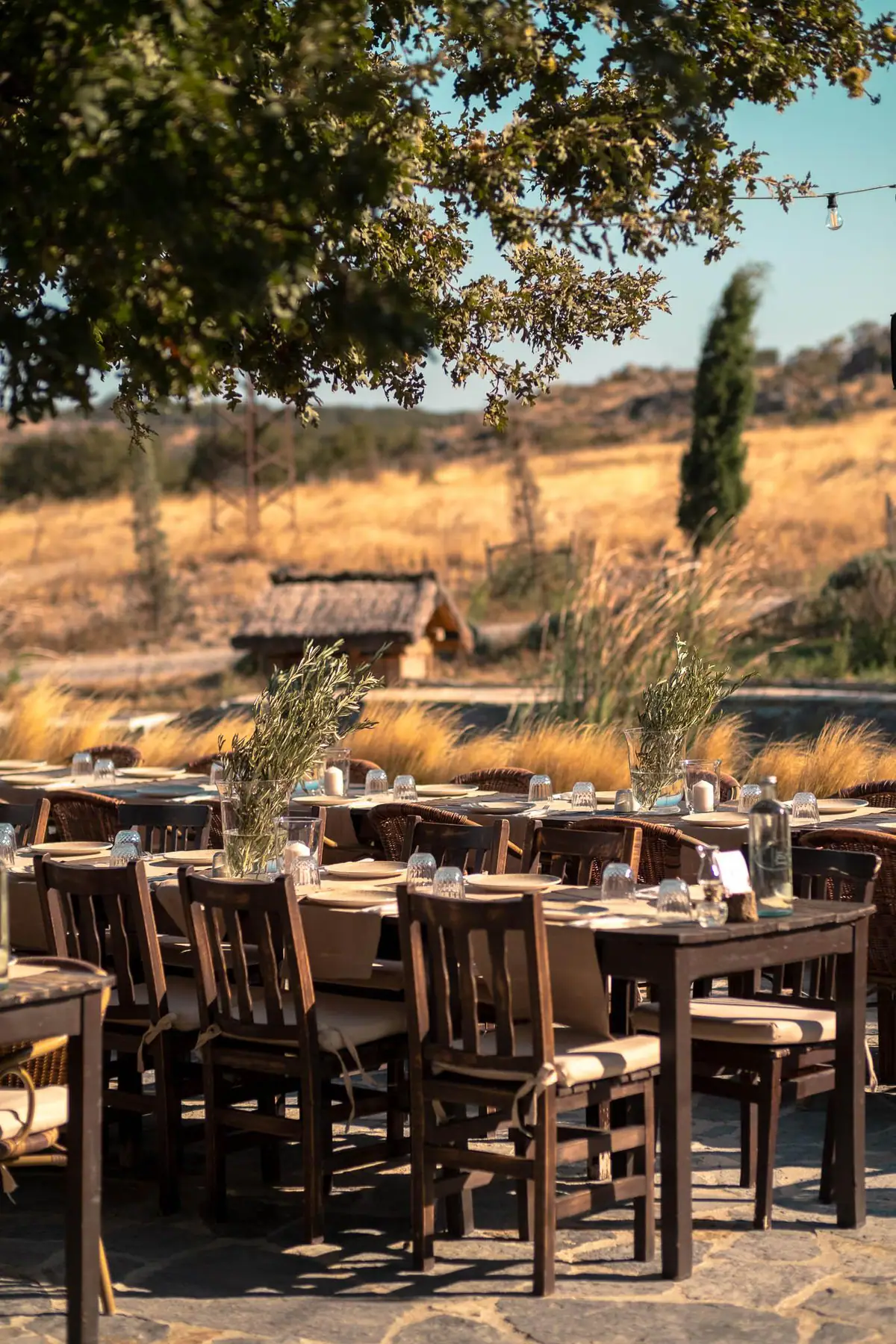 Weddings — Manici Çiftlik 24