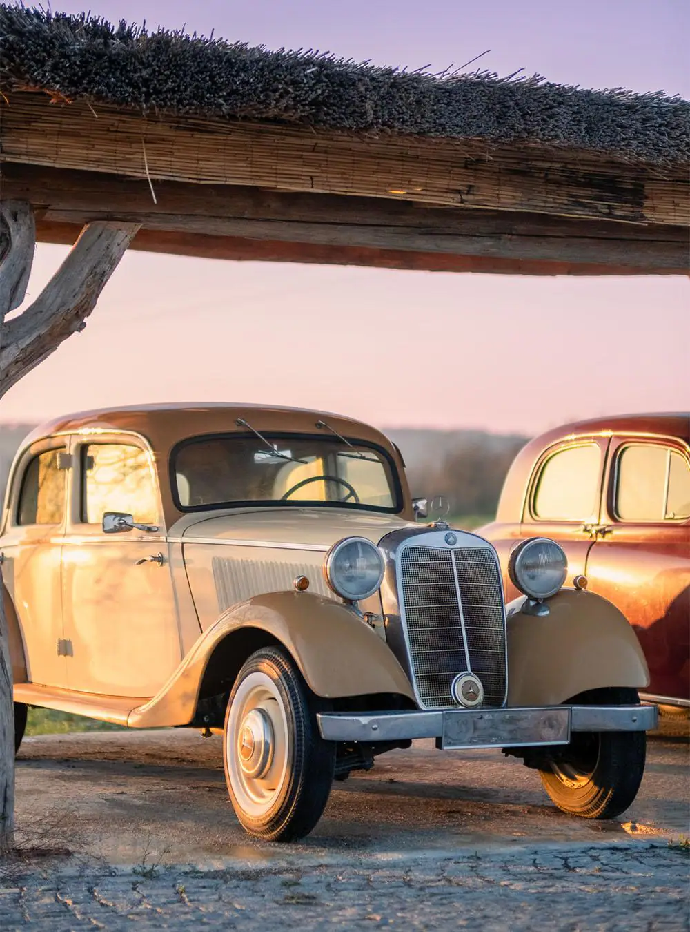 Classic cars — Manici Çiftlik 1