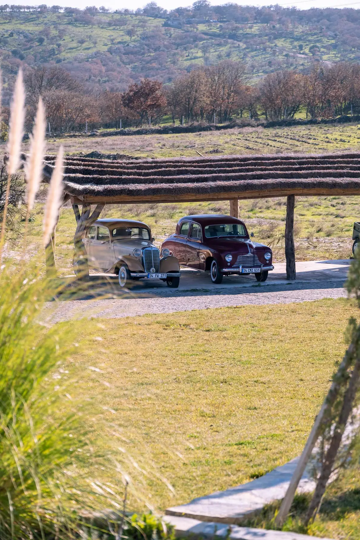 Classic cars — Manici Çiftlik 10
