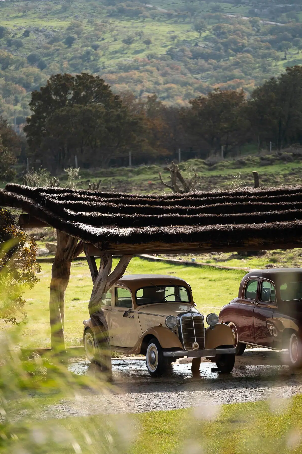 Classic cars — Manici Çiftlik 11
