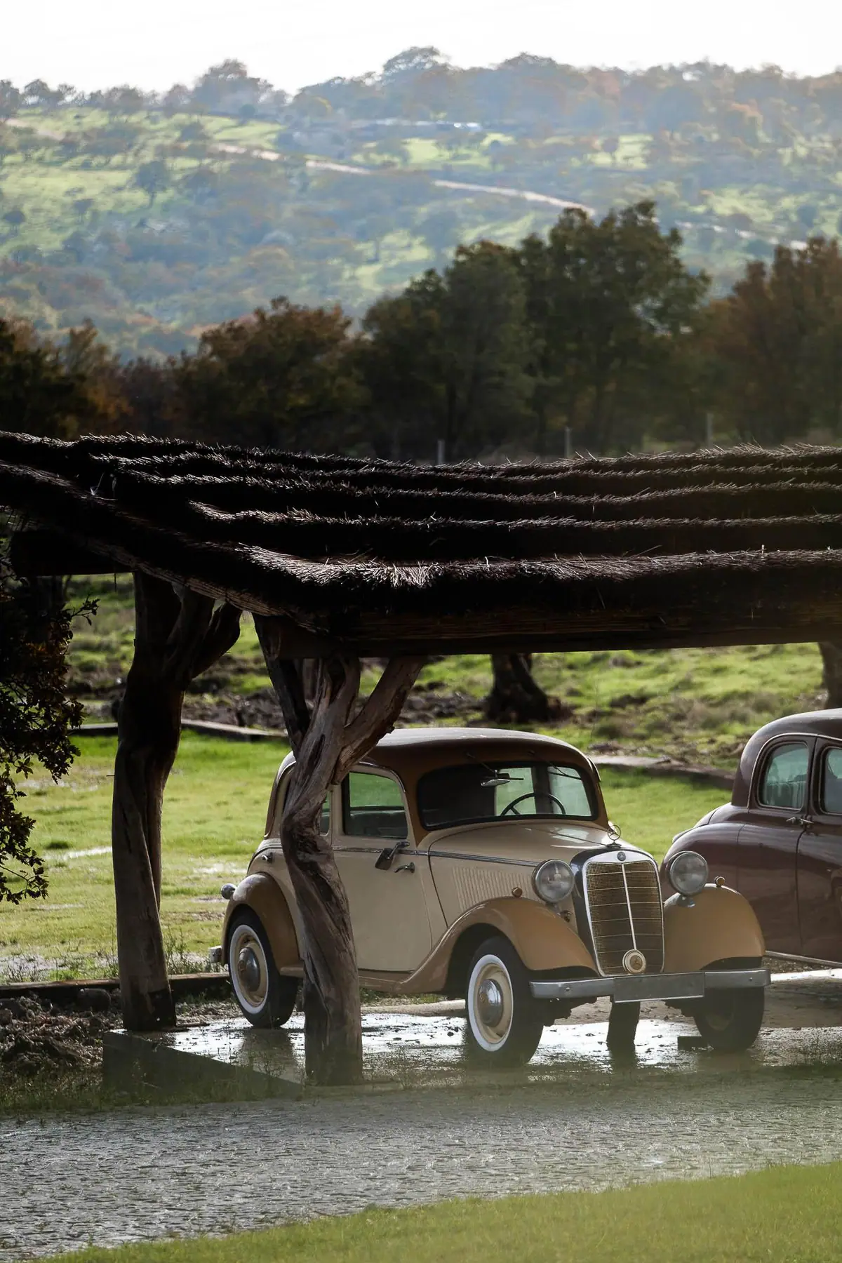 Classic cars — Manici Çiftlik 12