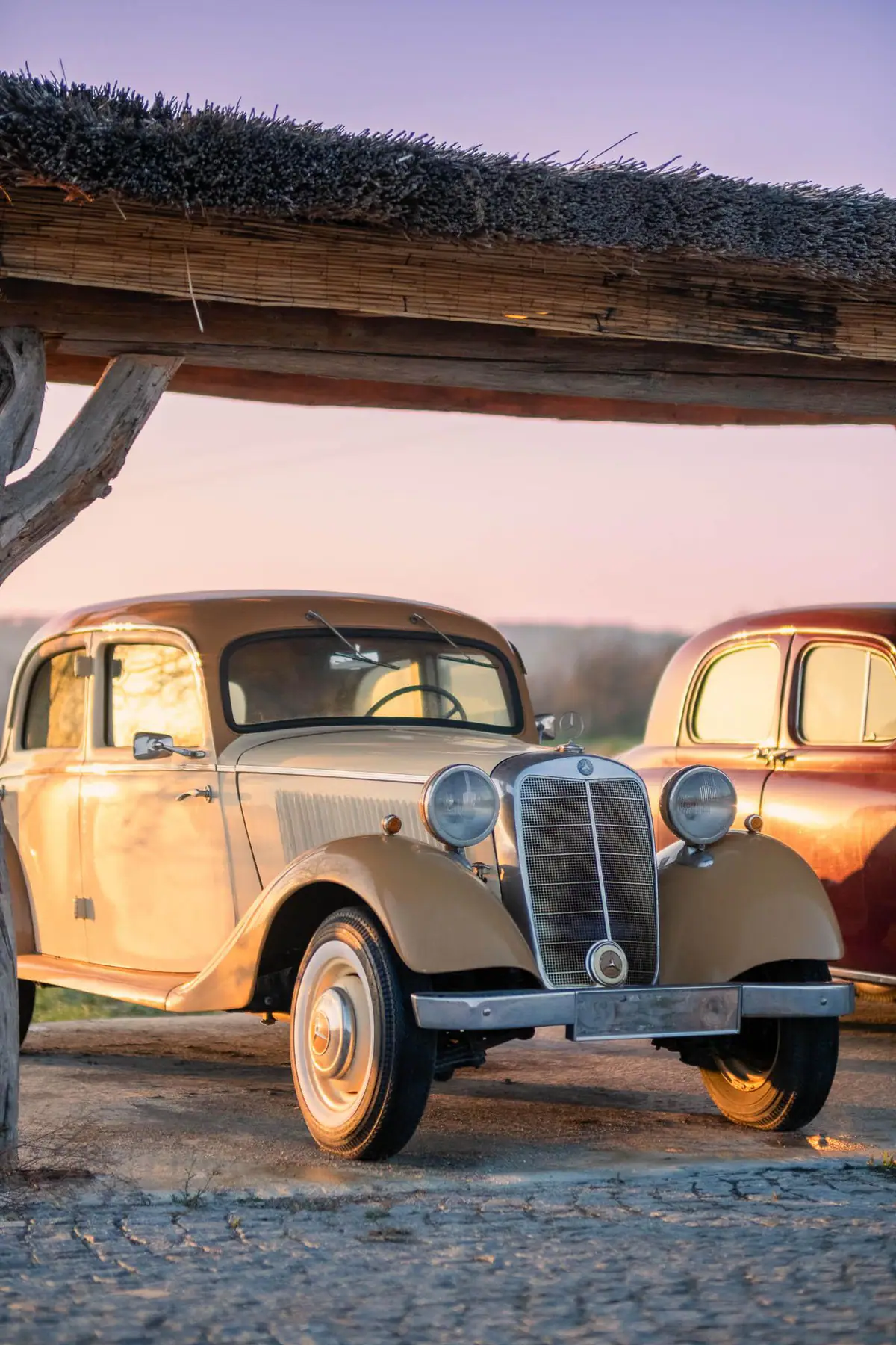 Classic cars — Manici Çiftlik 13