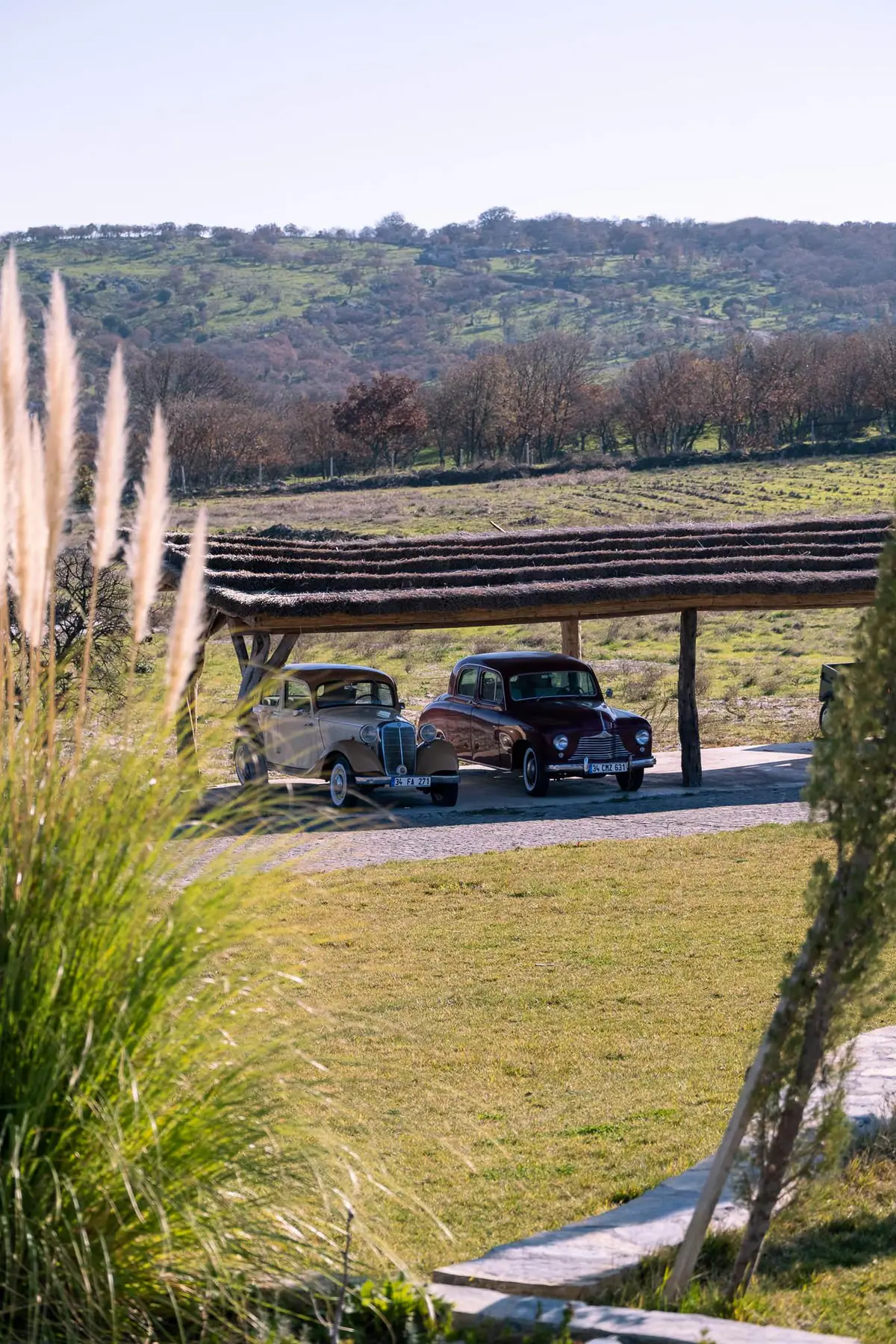 Classic cars — Manici Çiftlik 9